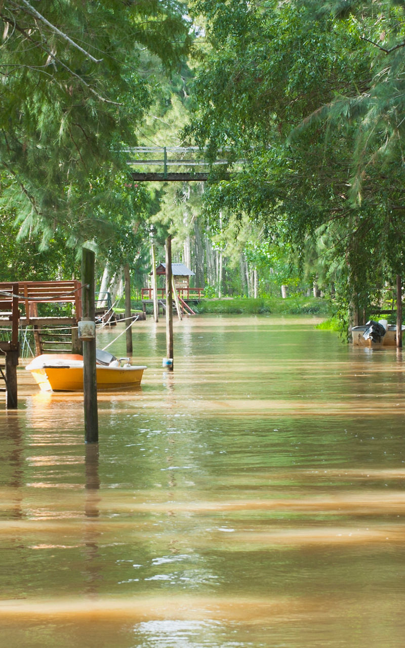 Serene river surrounded by lush greenery