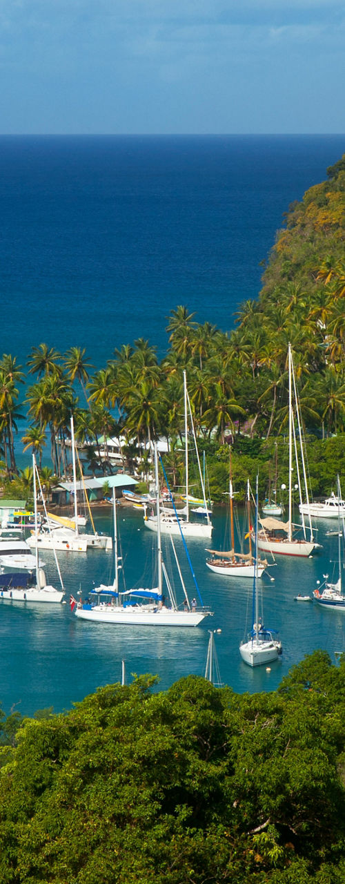 Scenic marina with yachts and lush hills