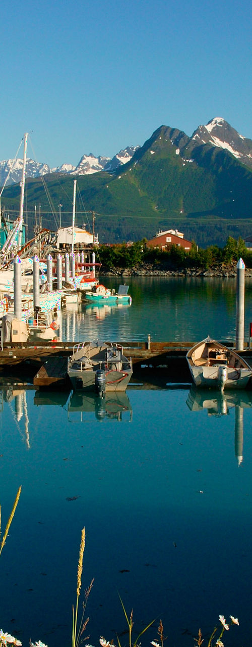 Scenic marina with mountain backdrop