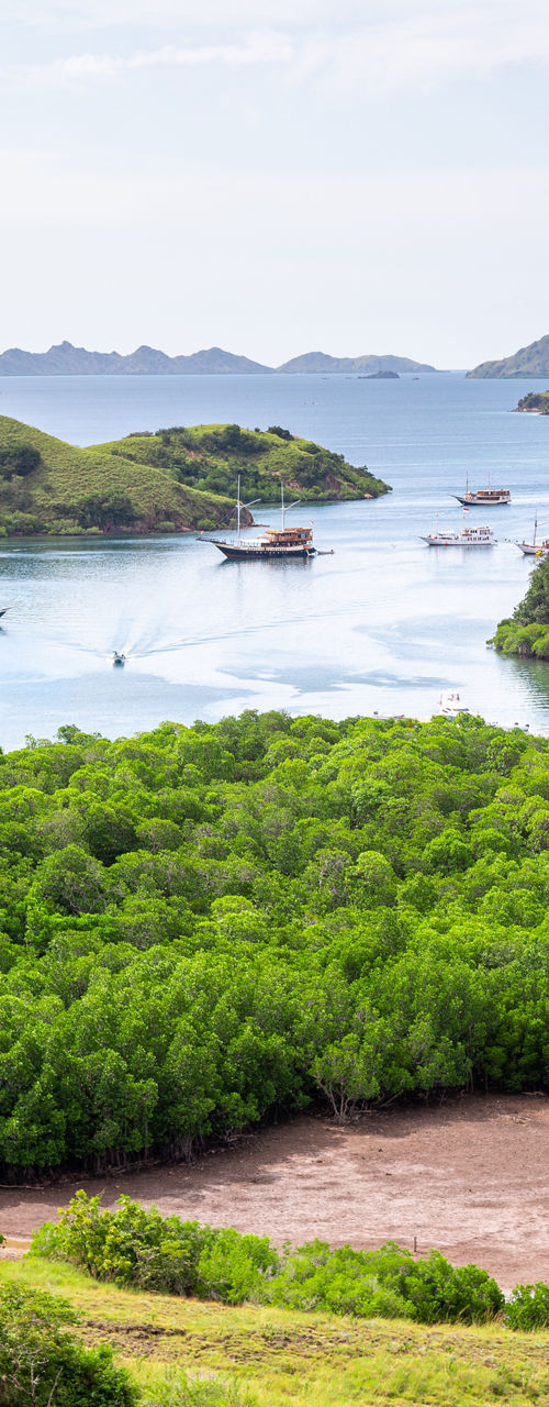 Scenic bay with boats and lush greenery