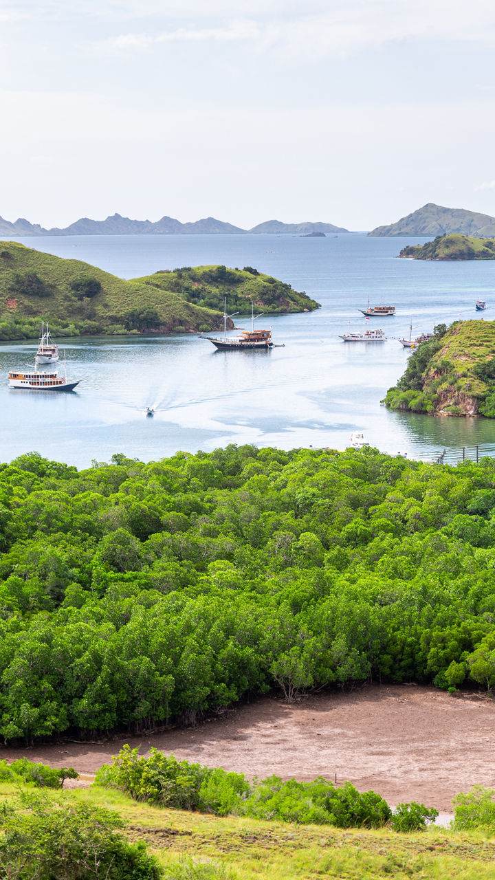 Rinca Island Hike