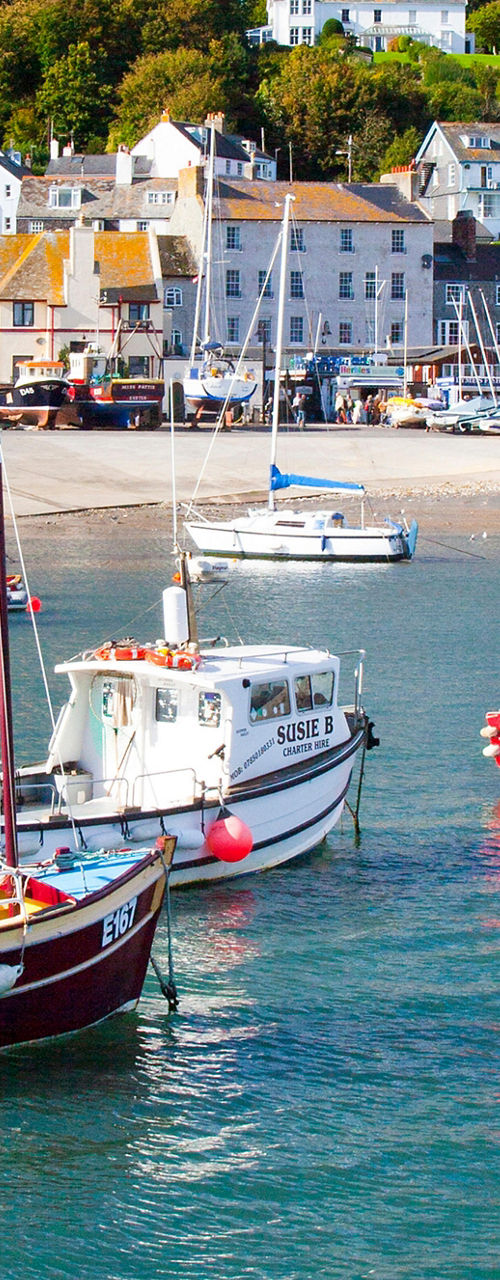 Colorful boats in scenic coastal harbor