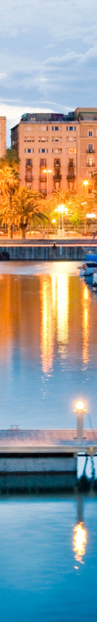 Scenic marina with docked sailboats at dusk