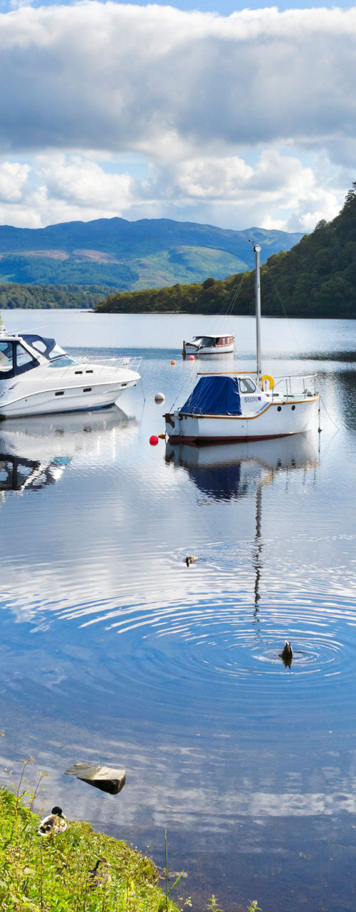 Scenic lake with boats and lush greenery