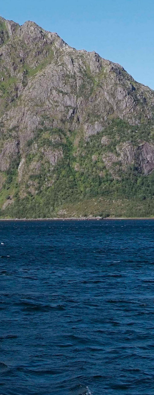 Tourists on inflatable boats in scenic fjord