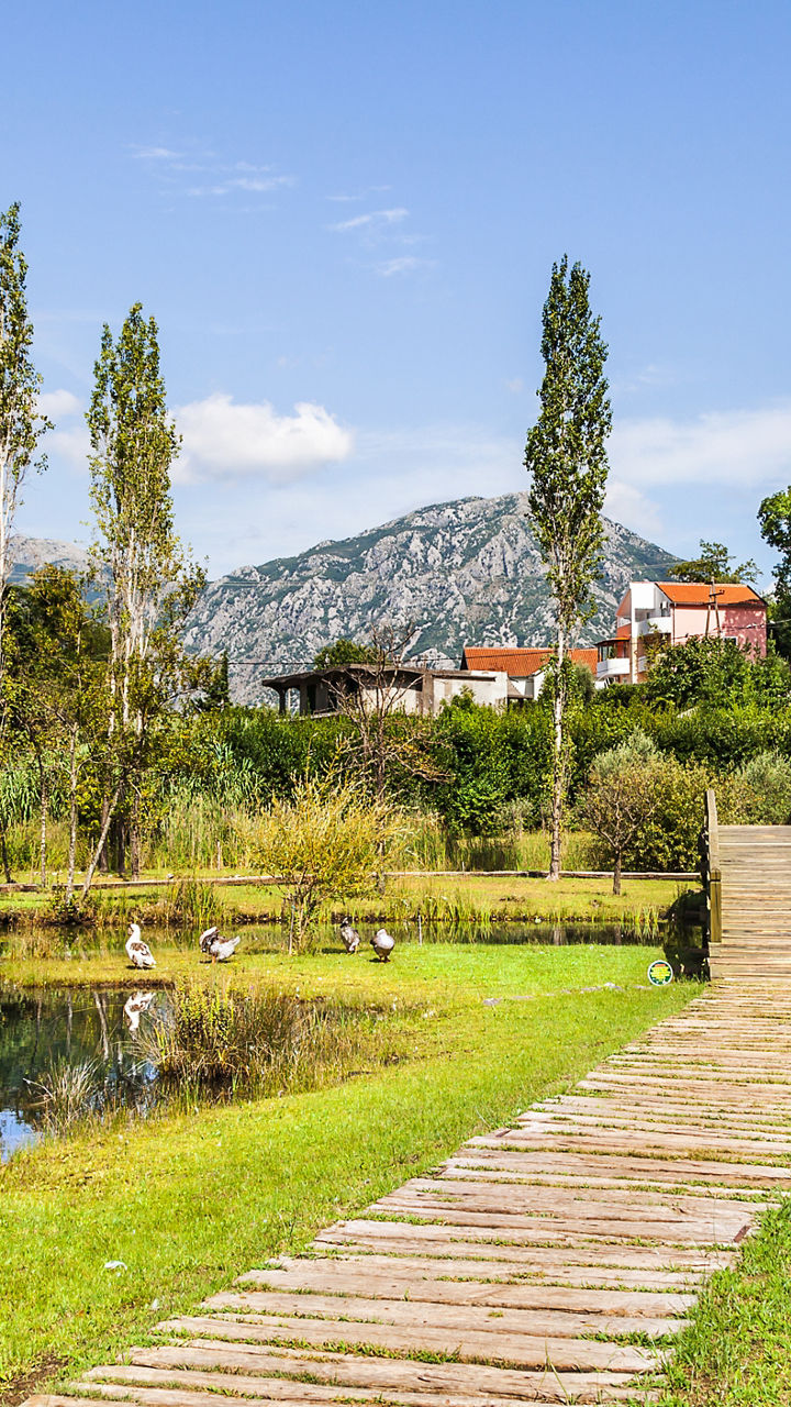 Best of Montenegro