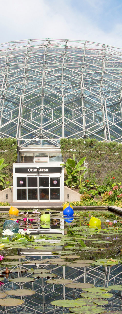 Geodesic dome with reflective lily pond
