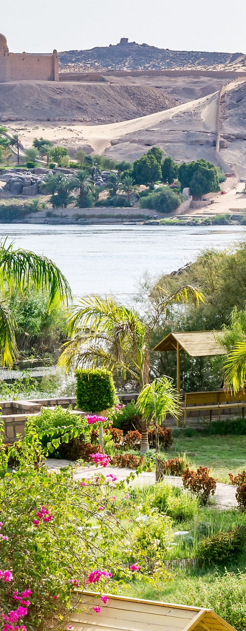 Lush garden overlooking serene river landscape