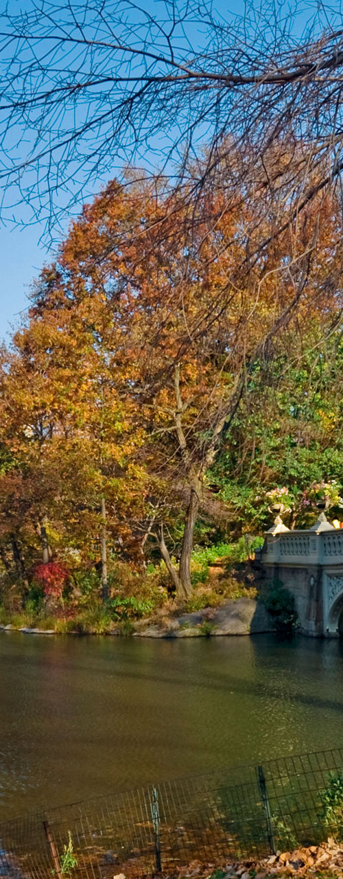 Autumn view of Central Park bridge