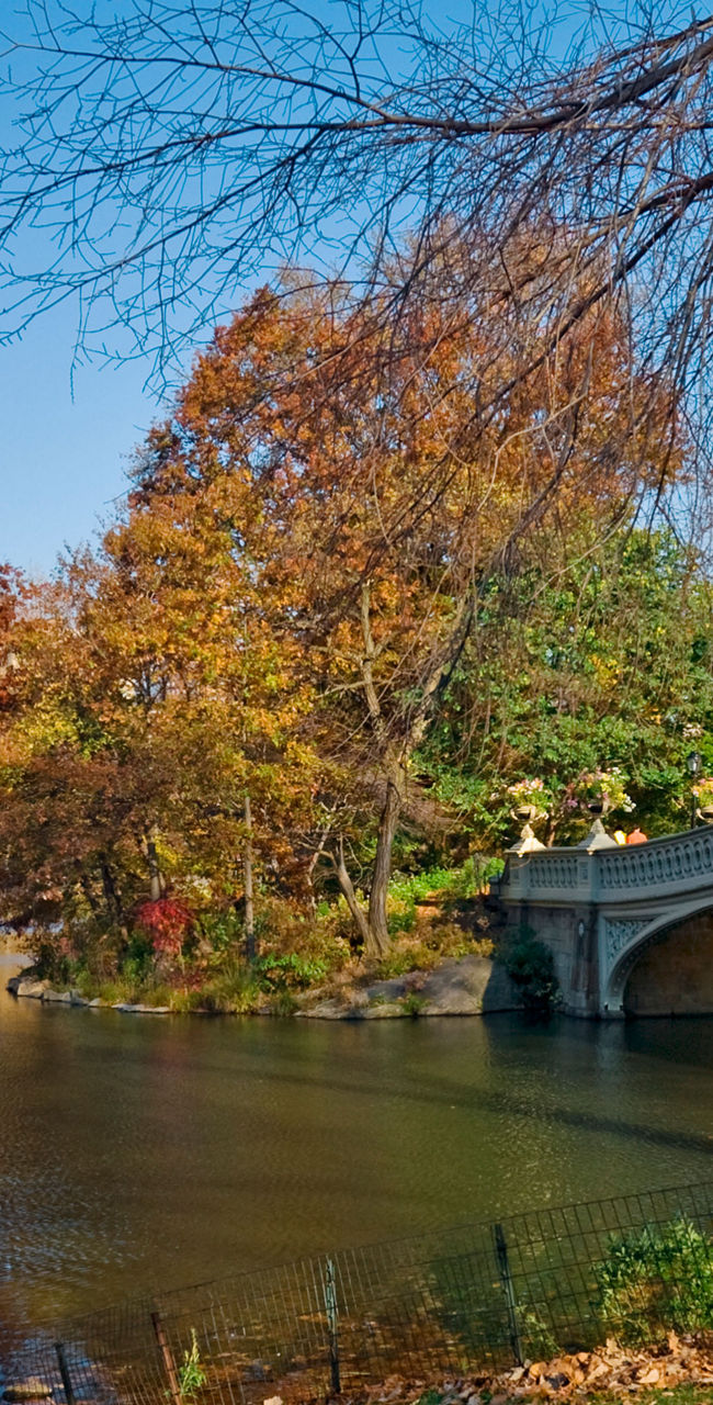 Autumn view of Central Park bridge