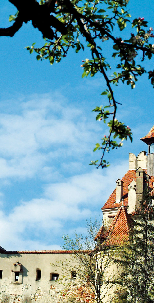 Historic castle surrounded by lush greenery