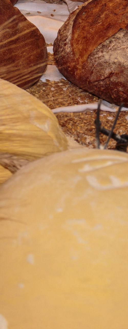 Artisan bread and dough with wheat grains