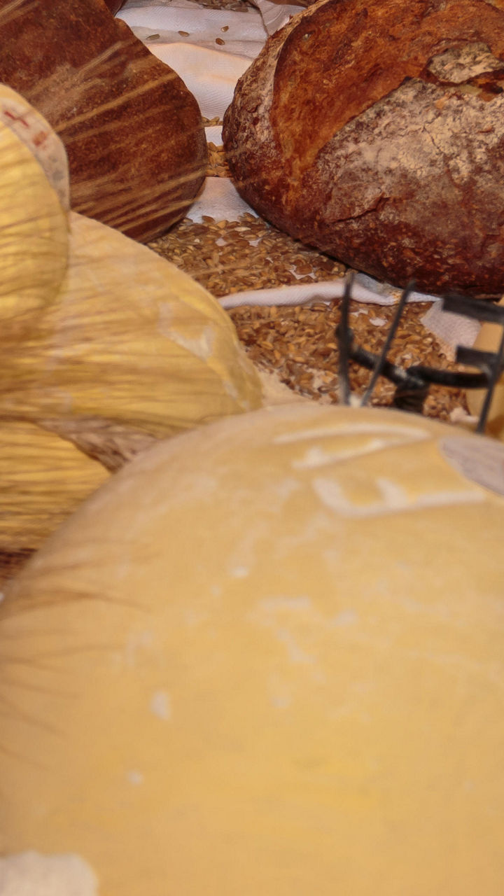 A Taste of Altamura