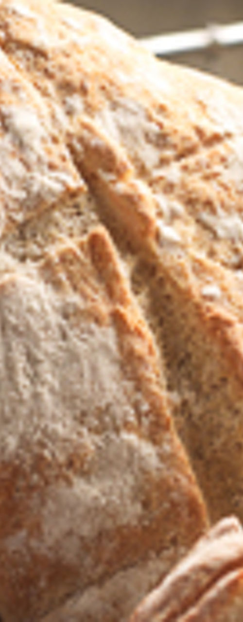 Freshly baked artisan bread in basket