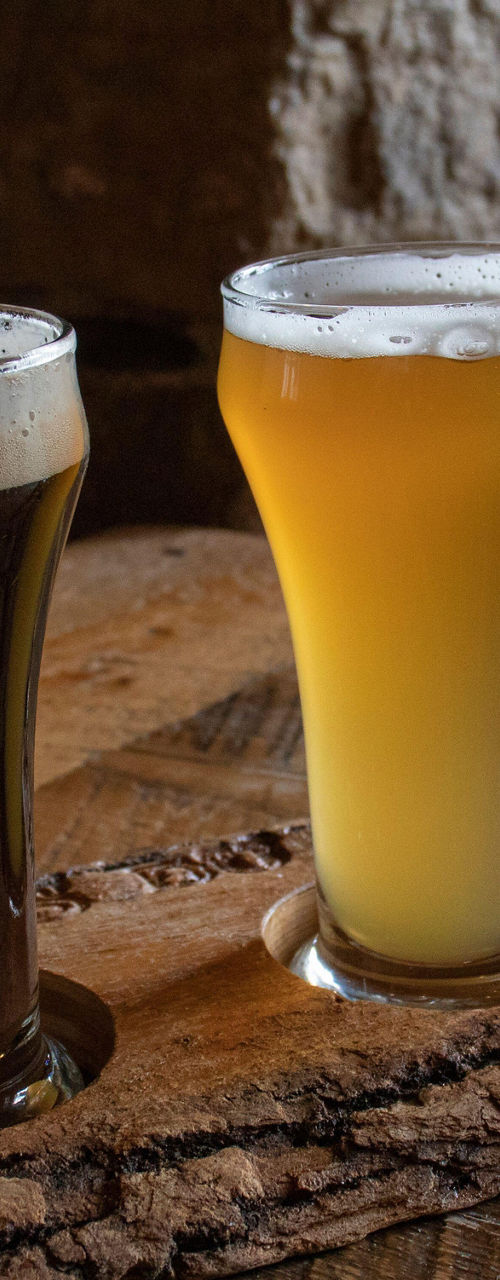 Variety of craft beers in rustic setting