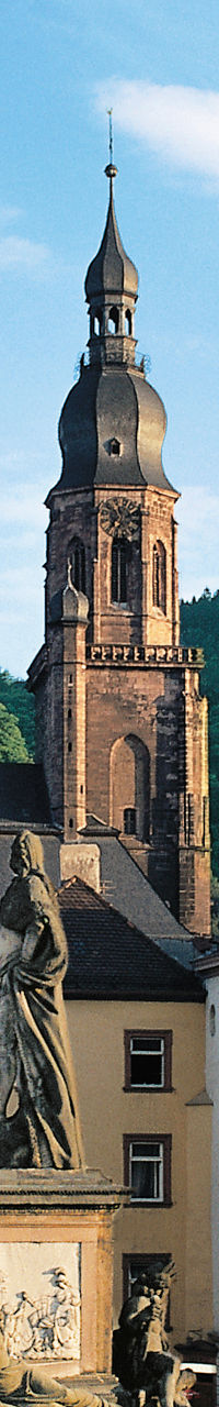 Historic bridge and cityscape in Heidelberg