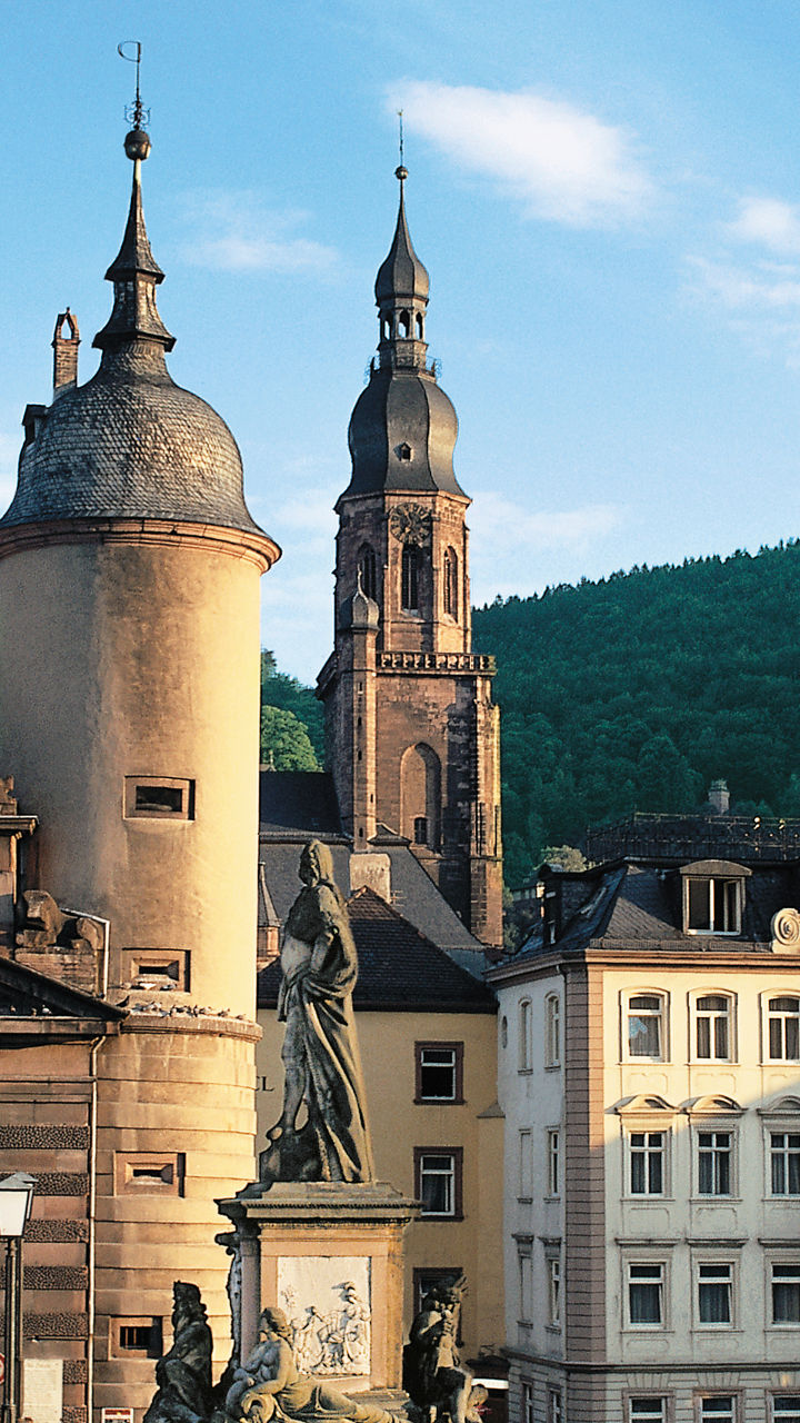 Historic bridge and cityscape in Heidelberg