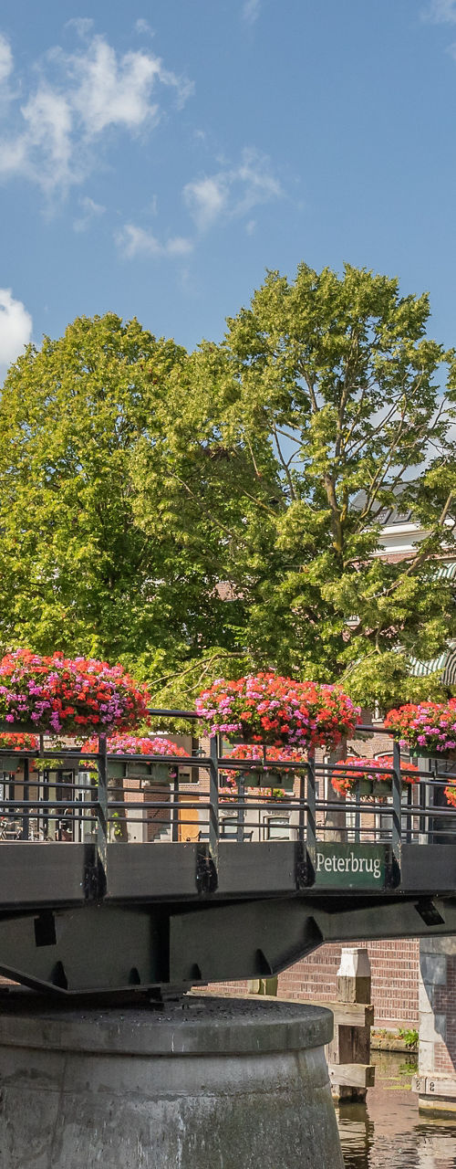 Historic canal bridge with flower baskets