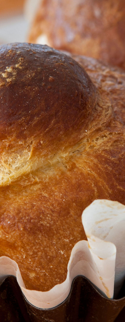 Golden brioche buns on orange tablecloth