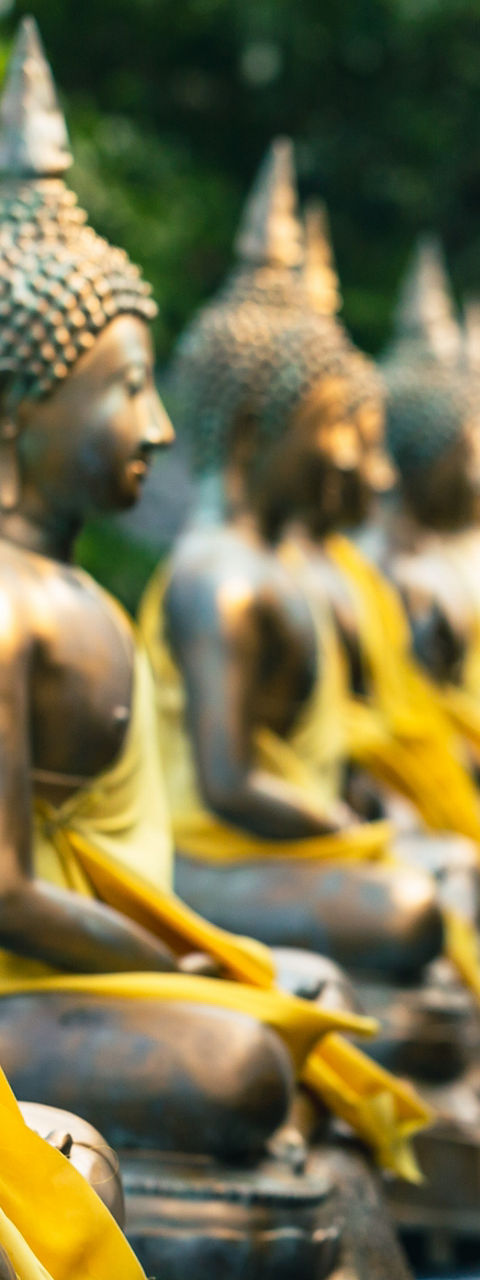 Golden Buddha statues in outdoor setting