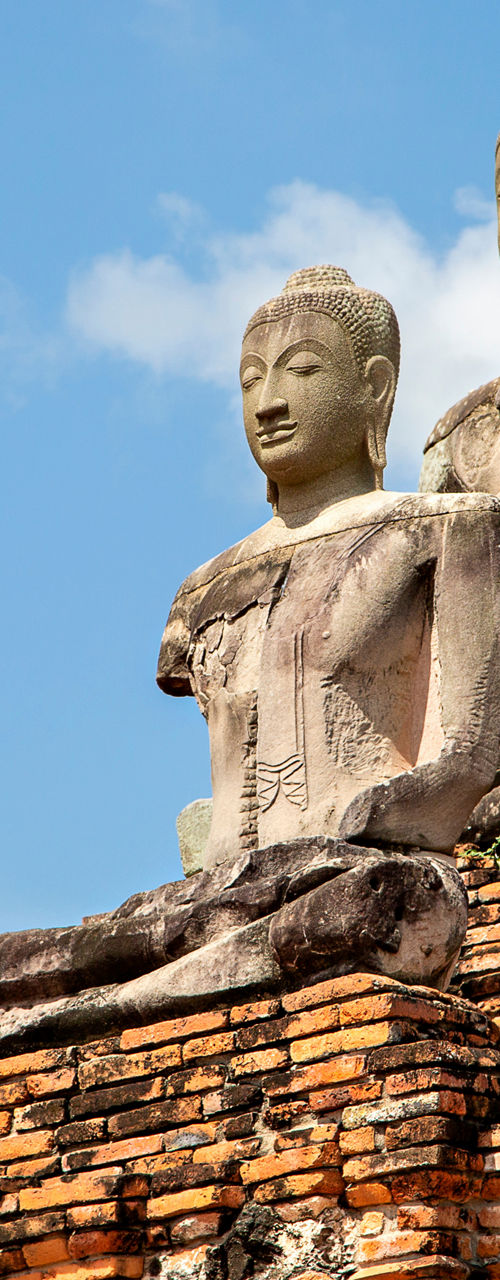 Ancient Buddha Statues Amidst Temple Ruins in Thailand