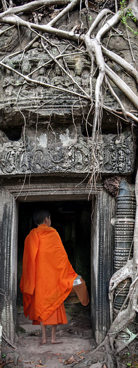 Monk entering ancient temple with tree roots