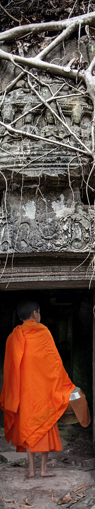 Monk entering ancient temple with tree roots