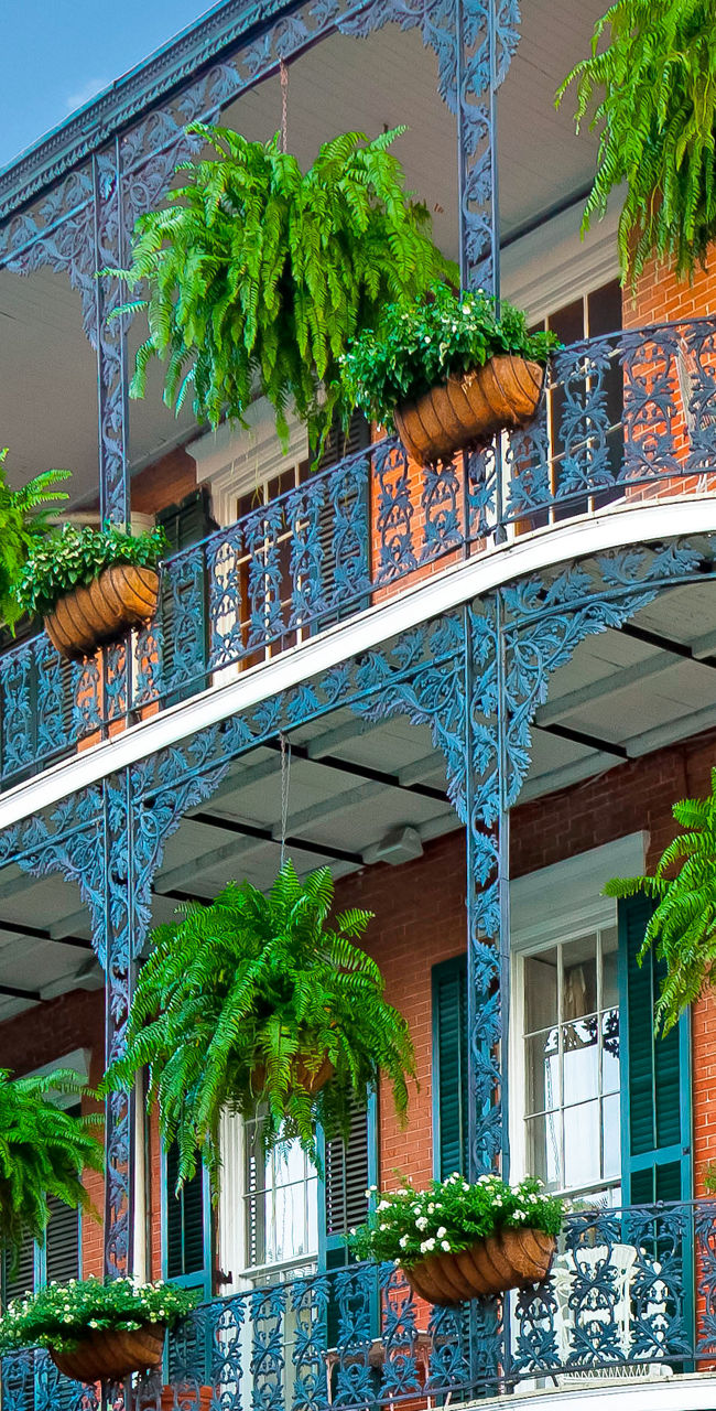 Historic building with ornate balconies and greenery