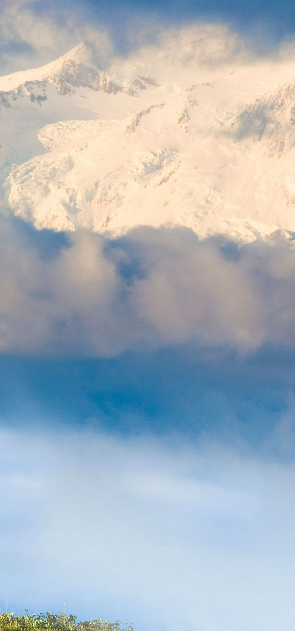 Majestic reindeer in snowy mountain landscape