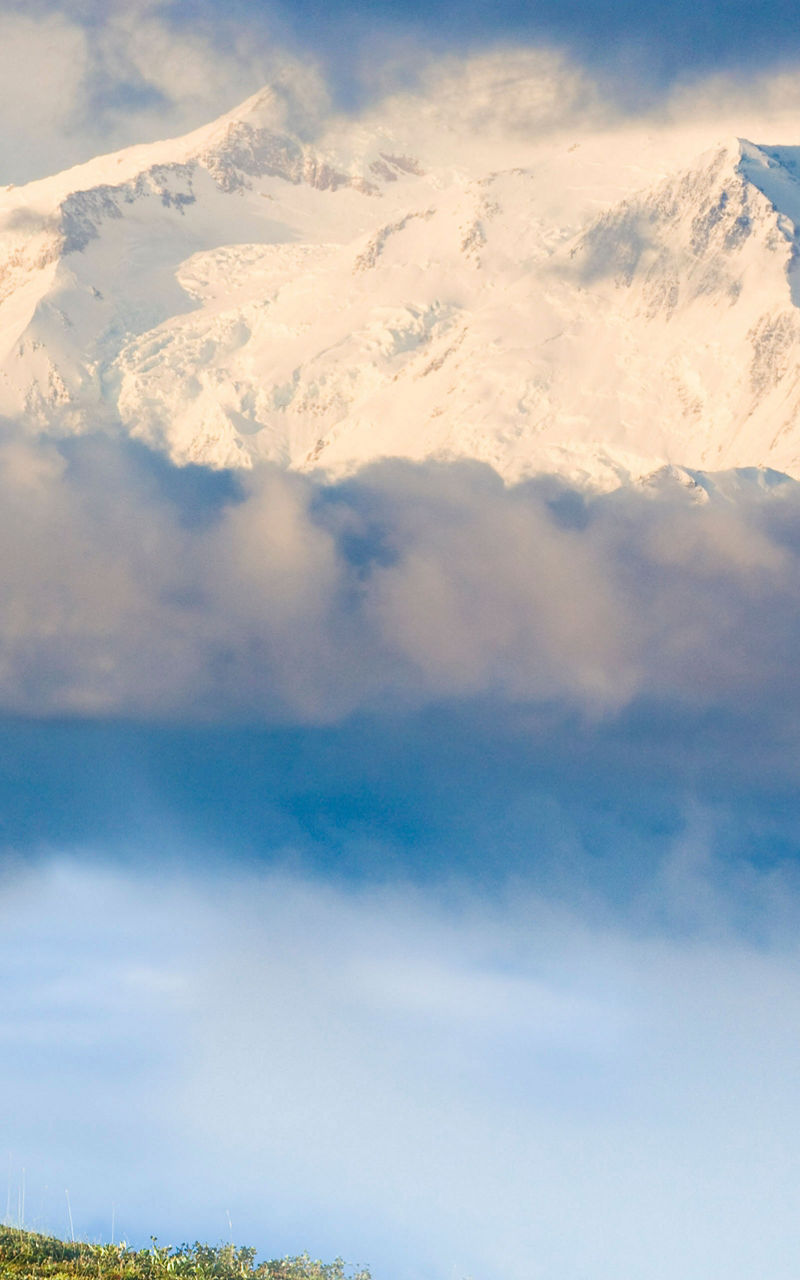 Majestic reindeer in snowy mountain landscape