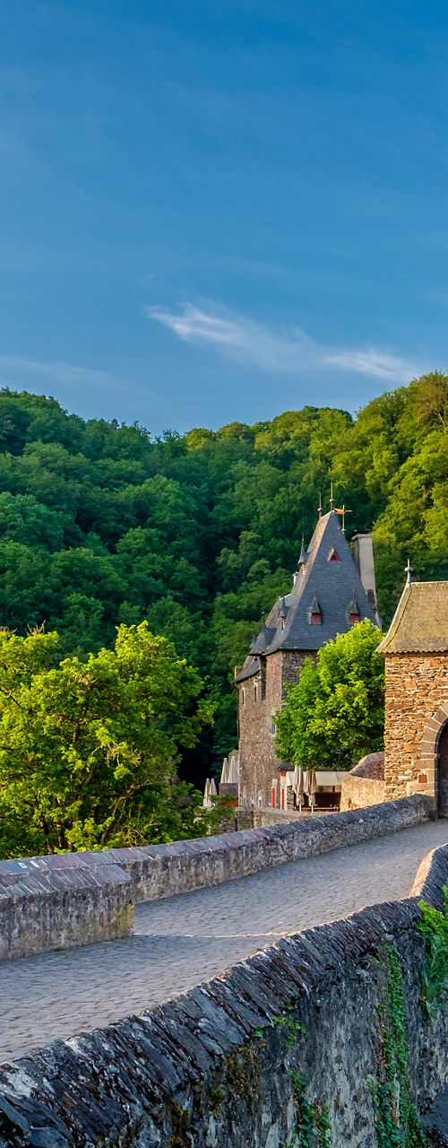 Historic castle surrounded by lush greenery