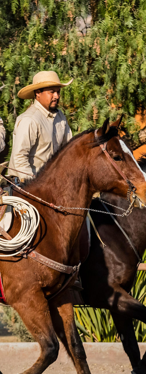 Two cowboys riding horses in ranch setting