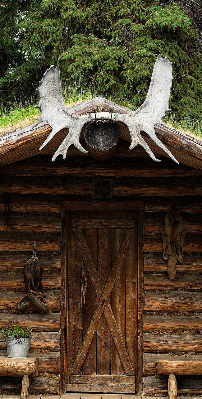 Rustic Log Cabin with Grass Roof