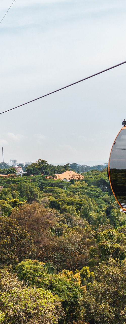 Cable cars over lush green landscape