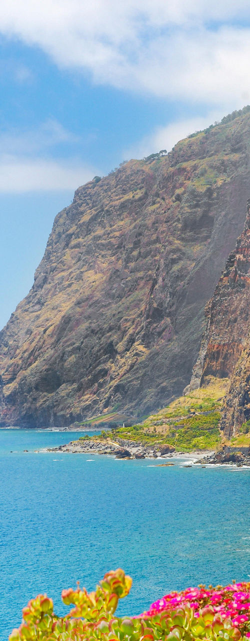 Scenic coastal cliffs with vibrant flowers