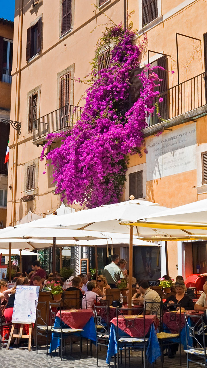 Outdoor café in sunny European plaza