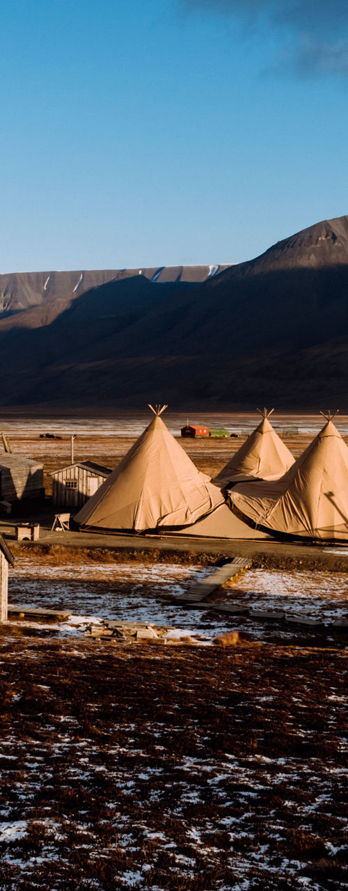 Rustic Arctic camp with mountain backdrop