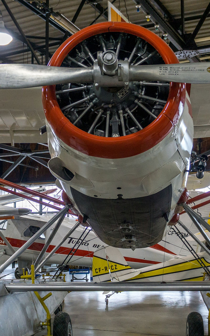 Vintage seaplane in aviation museum hangar