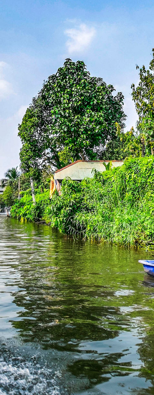 Colorful boats on a lush canal