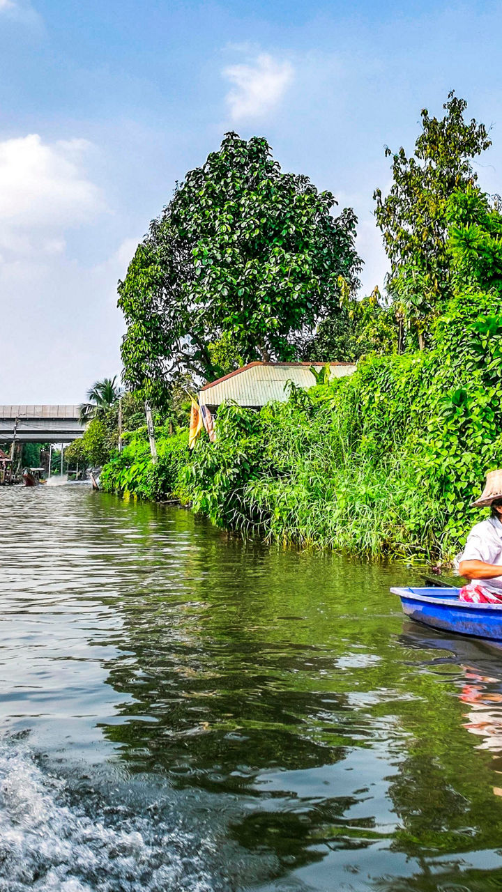 Colorful boats on a lush canal