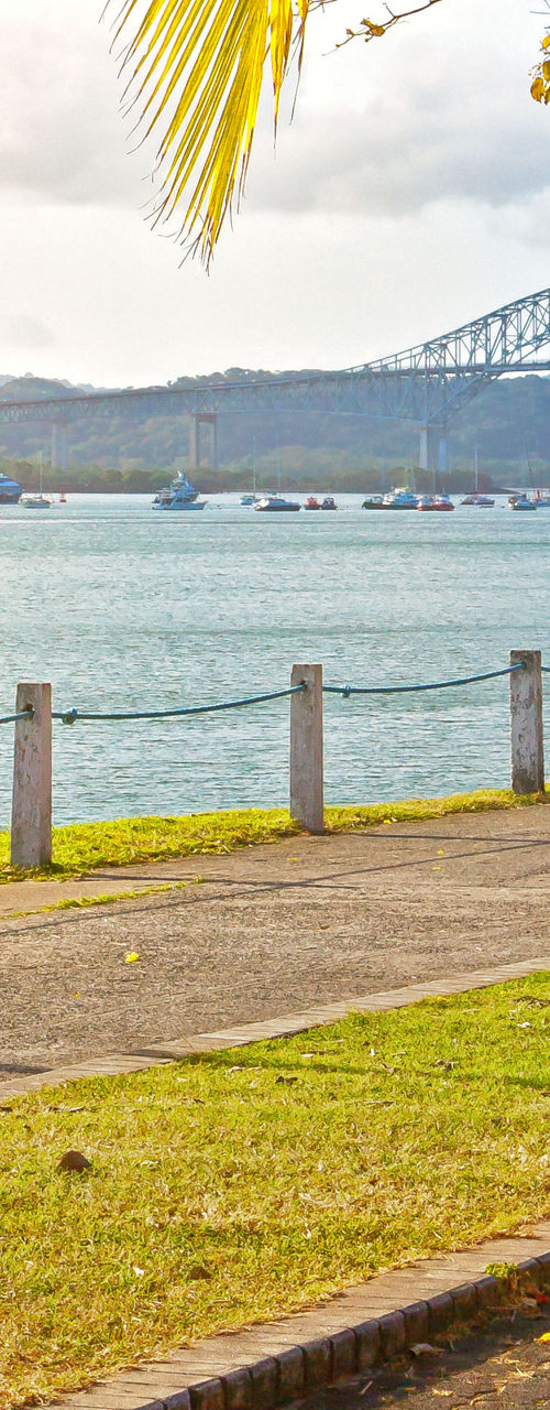 Tropical waterfront with cyclist and bridge