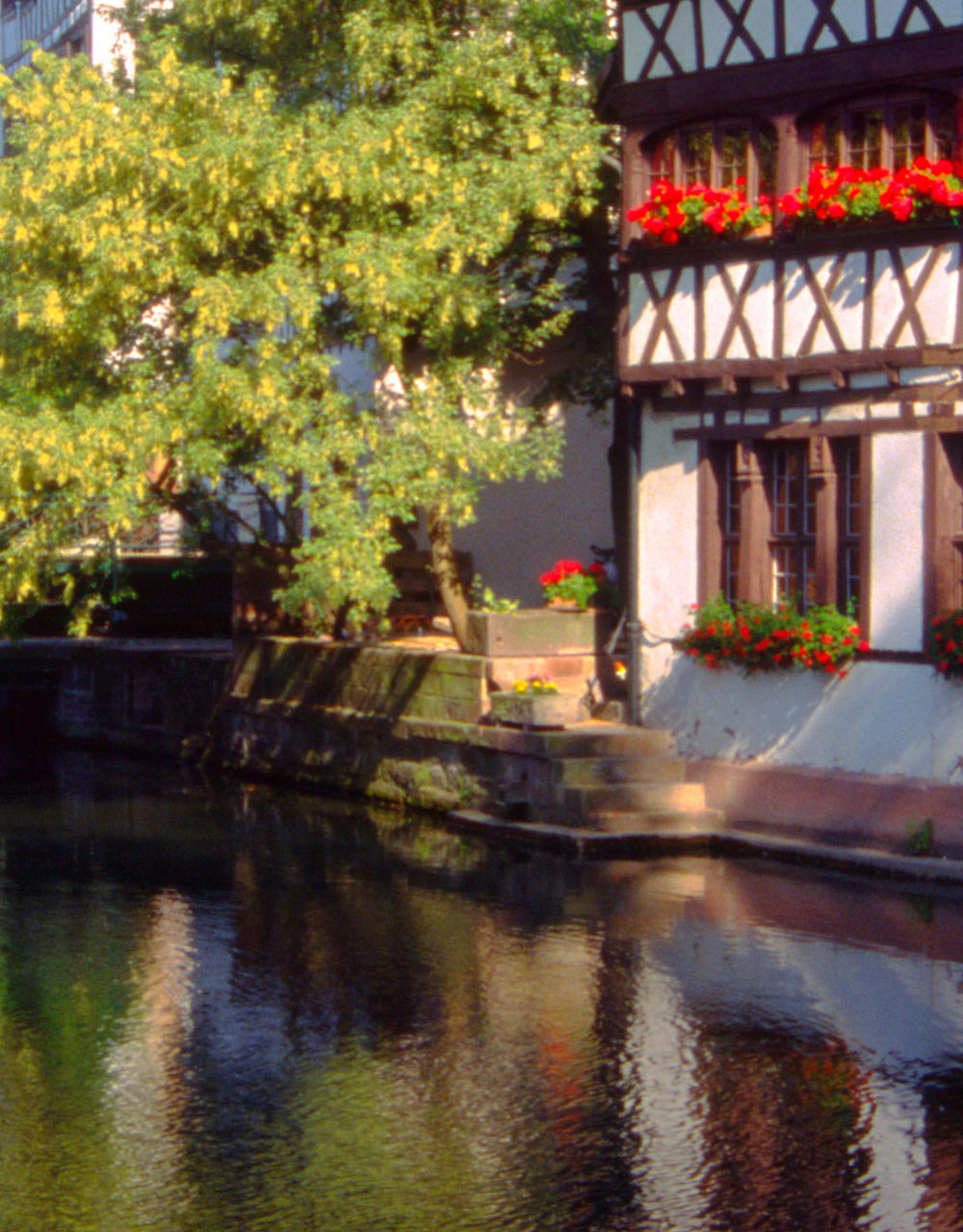 Strasbourg canal houses