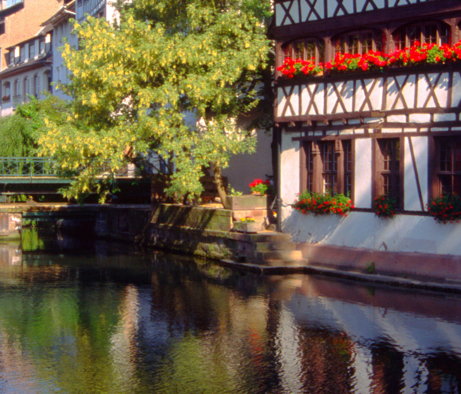Half-timbered houses and canal in Strasbourg