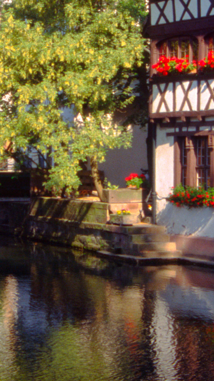 Scenic canal with traditional timber houses