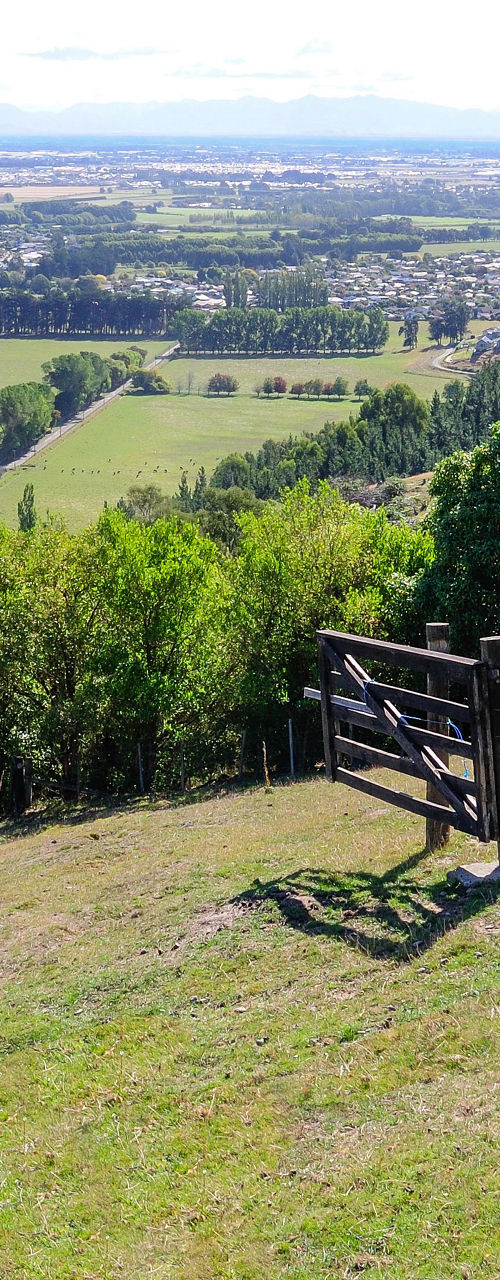 Scenic countryside view with grazing sheep