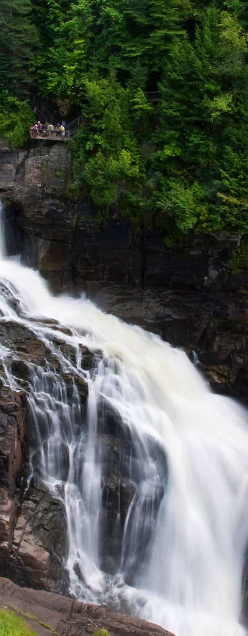 Majestic waterfall in lush forest setting