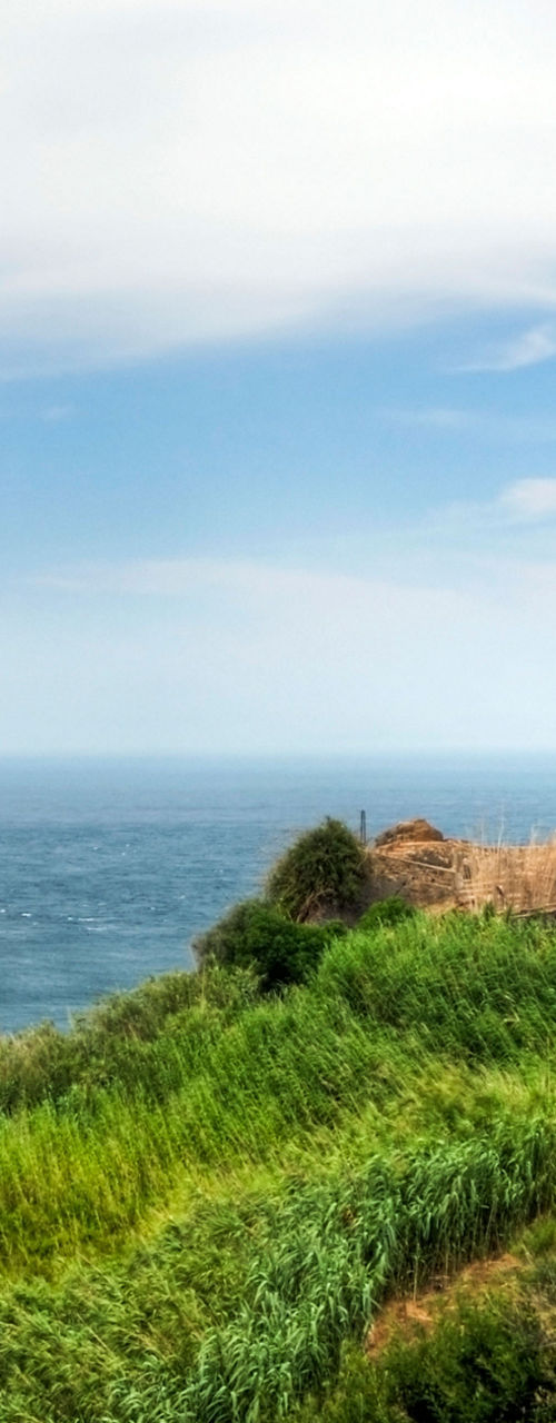 Coastal lighthouse with lush greenery