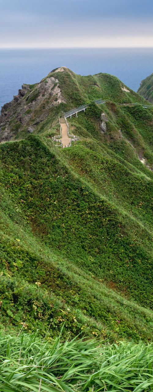 Scenic coastal cliffs with lush greenery