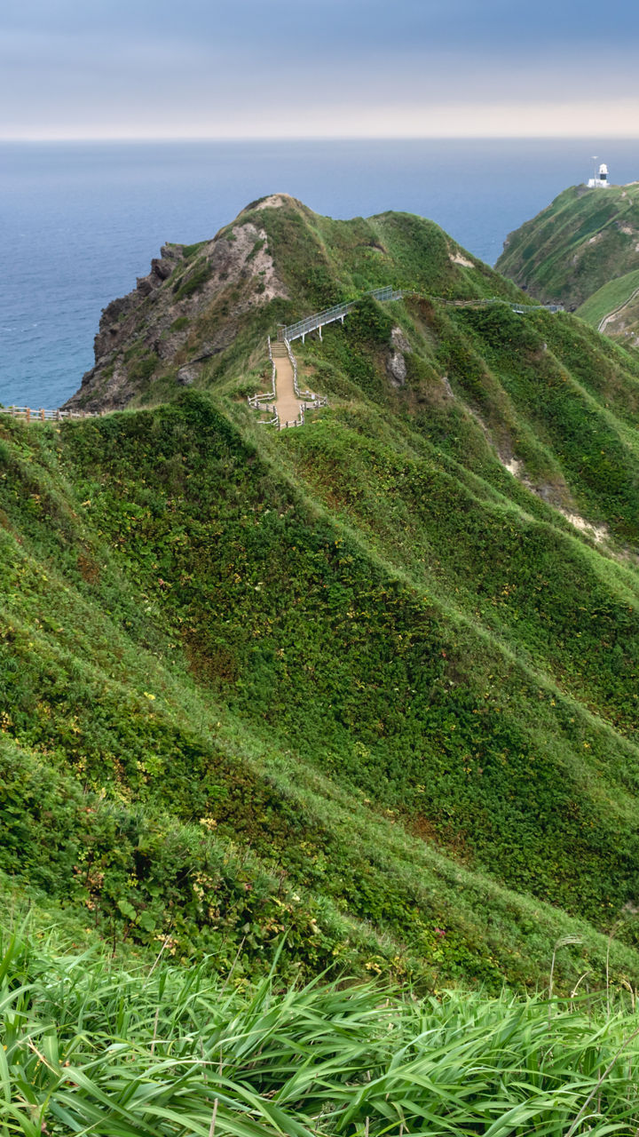 Cape Kamui Hike