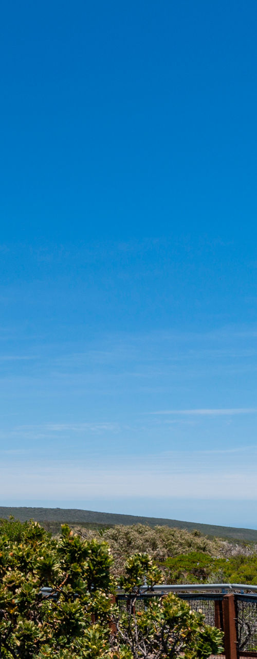 White lighthouse overlooking ocean and greenery